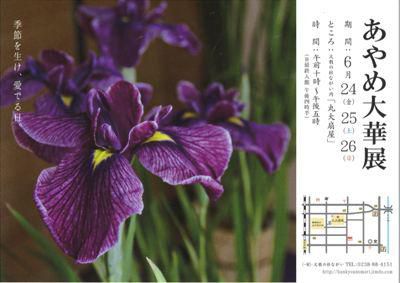 【あやめ大華展～予告～】