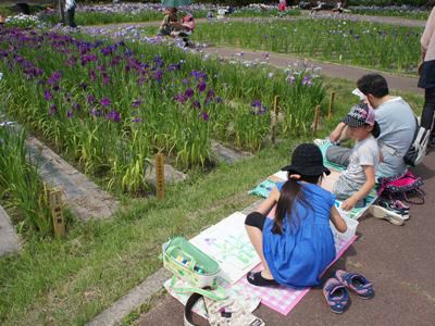 【晴天の下あやめ写生大会】