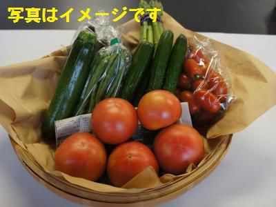 【豊かな自然で作られた電子野菜セット】