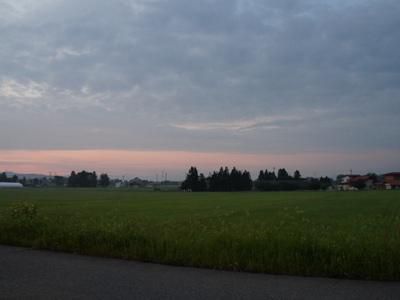 【小桜朝市開催されました】