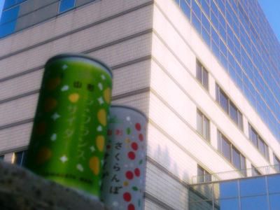 【シュワっと１本！くだものサイダー】