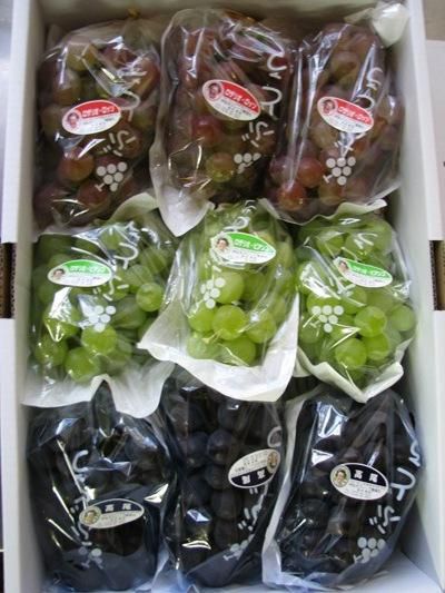 【伊佐沢ぶどうの発送はじまりました！】