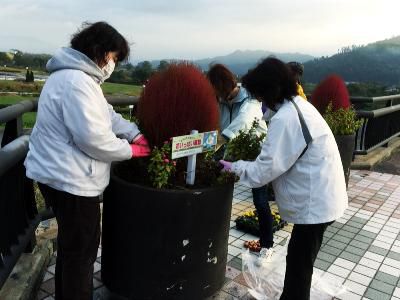 【長井橋花壇お色直し・稚児行列】