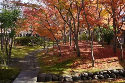 【晩秋の街なか風景】