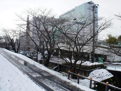 【今シーズン初の雪化粧】