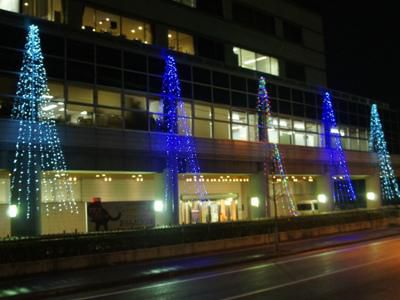 【もうすぐクリスマス♪…輝くイルミネーション！】