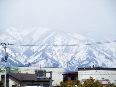 【春よ来い】