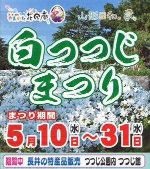 【白つつじまつり　予告】
