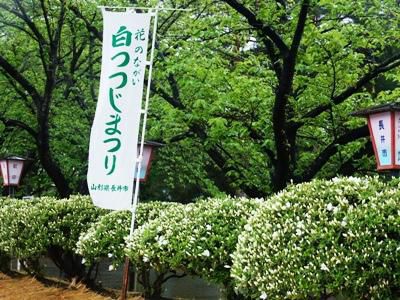 【白つつじまつりオープニングセレモニー】
