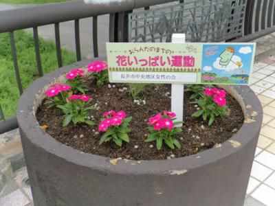 【町なかを花で飾って】