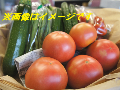 【旬をお届け！夏野菜セット】