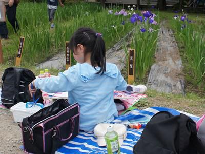 【あやめ写生大会】