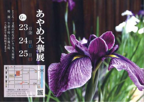 【あやめ大華展　～予告～】