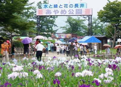 【あやめにぎわい市】