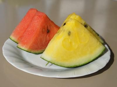 【夏の味覚！小玉スイカ】
