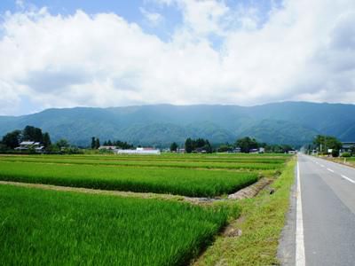 【長井の山の風景】