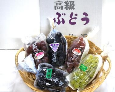 【甘くて大粒！伊佐沢ぶどう】
