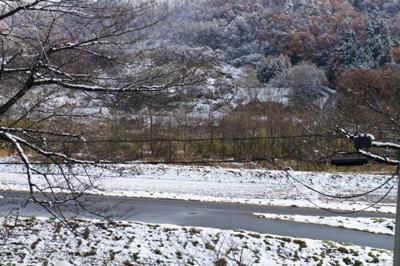 【初雪が降りました】