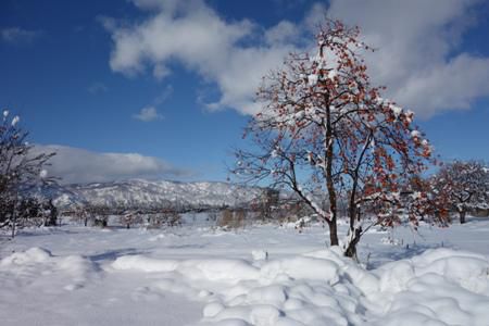 【雪の晴れ間に】