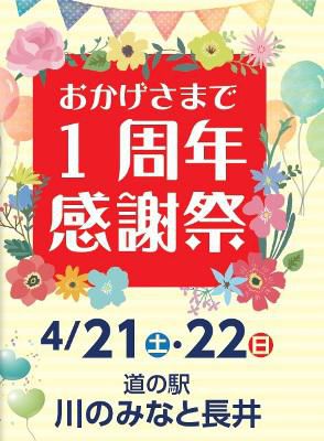 【「川のみなと長井」１周年感謝祭　予告　*+:｡:*ﾟ さくら通信 2018+:｡:*】