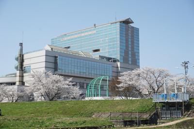 【お散歩日和“最上川桜遊覧”　*+:｡:*ﾟ さくら通信 2018+:｡:*】