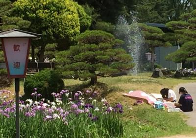 【「あやめ写生大会」が開催されました】