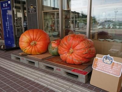 【フラワー長井線　撮り鉄の旅】