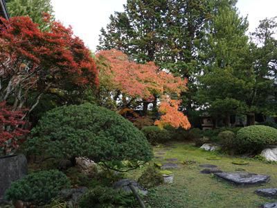 【晩秋の丸大扇屋】
