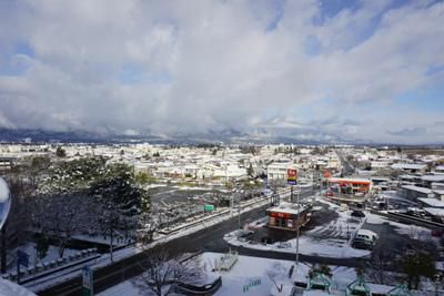 【雪が積もりました】