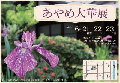 【あやめ大華展　～予告～】