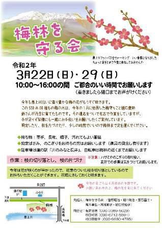 【梅林を守る剪定作業のお手伝いをお願いします】
