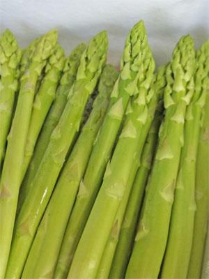 【朝もぎ新鮮「夏どりアスパラ」のご予約受付中】