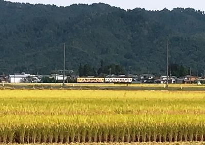 【10月イベント情報】