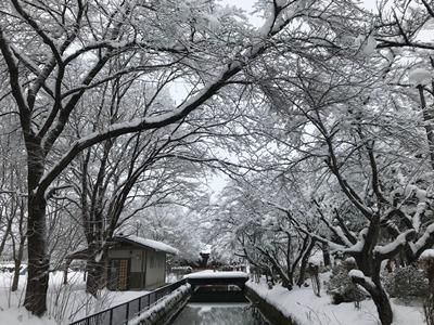 【雪の長井】