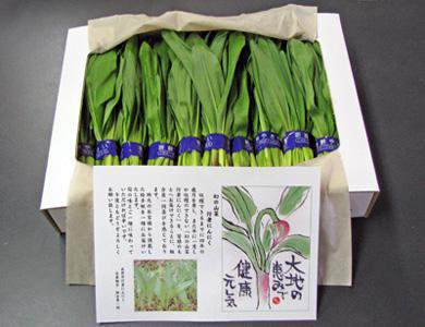 【幻の山菜『行者にんにく』予約承り中♪】