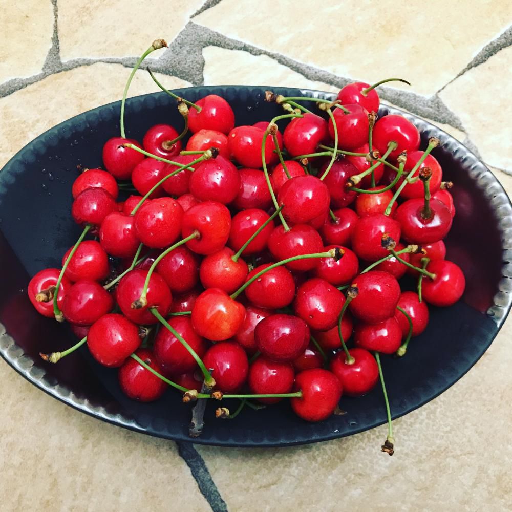 紅さやか