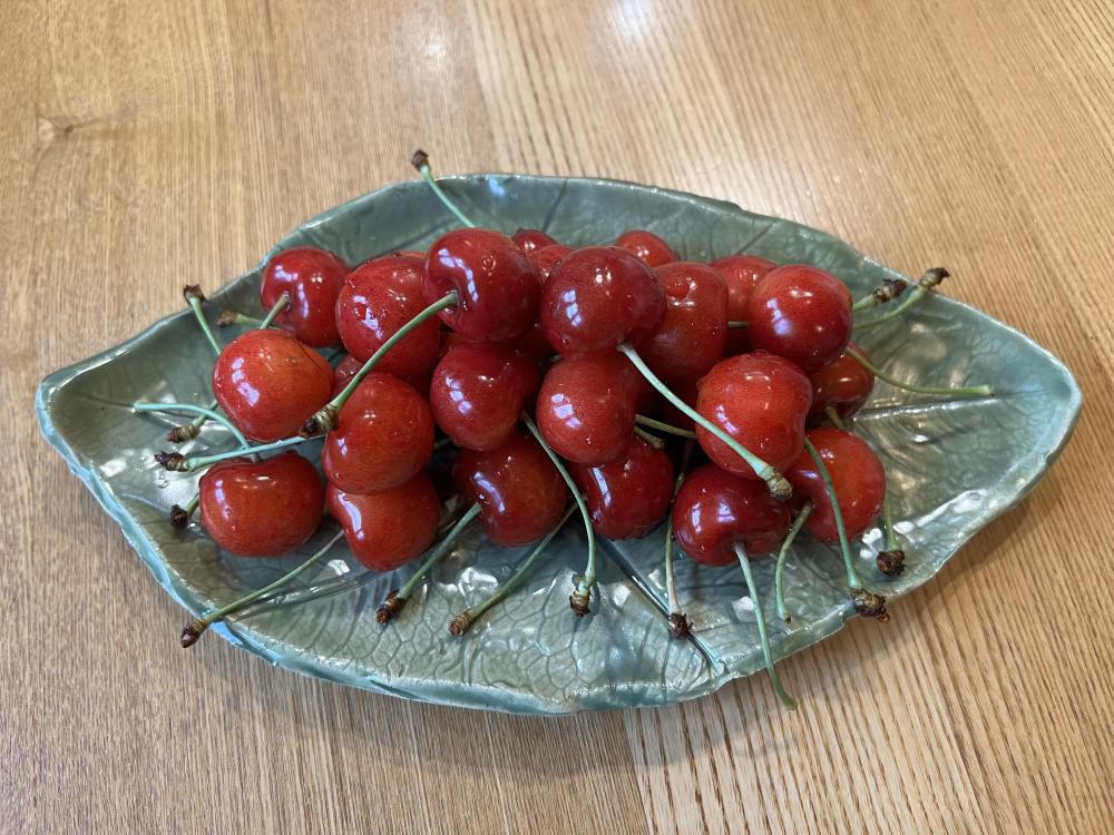 紅秀峰の発送開始のお知らせ。