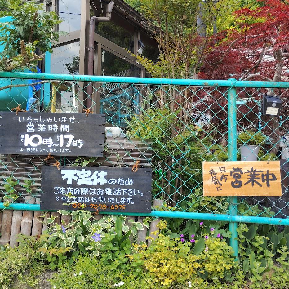 開店！【ガーデン多肉　ゆう】1