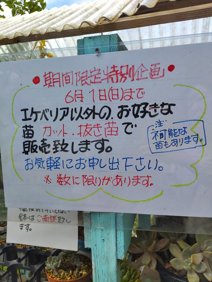 開店から間もなく一週間…