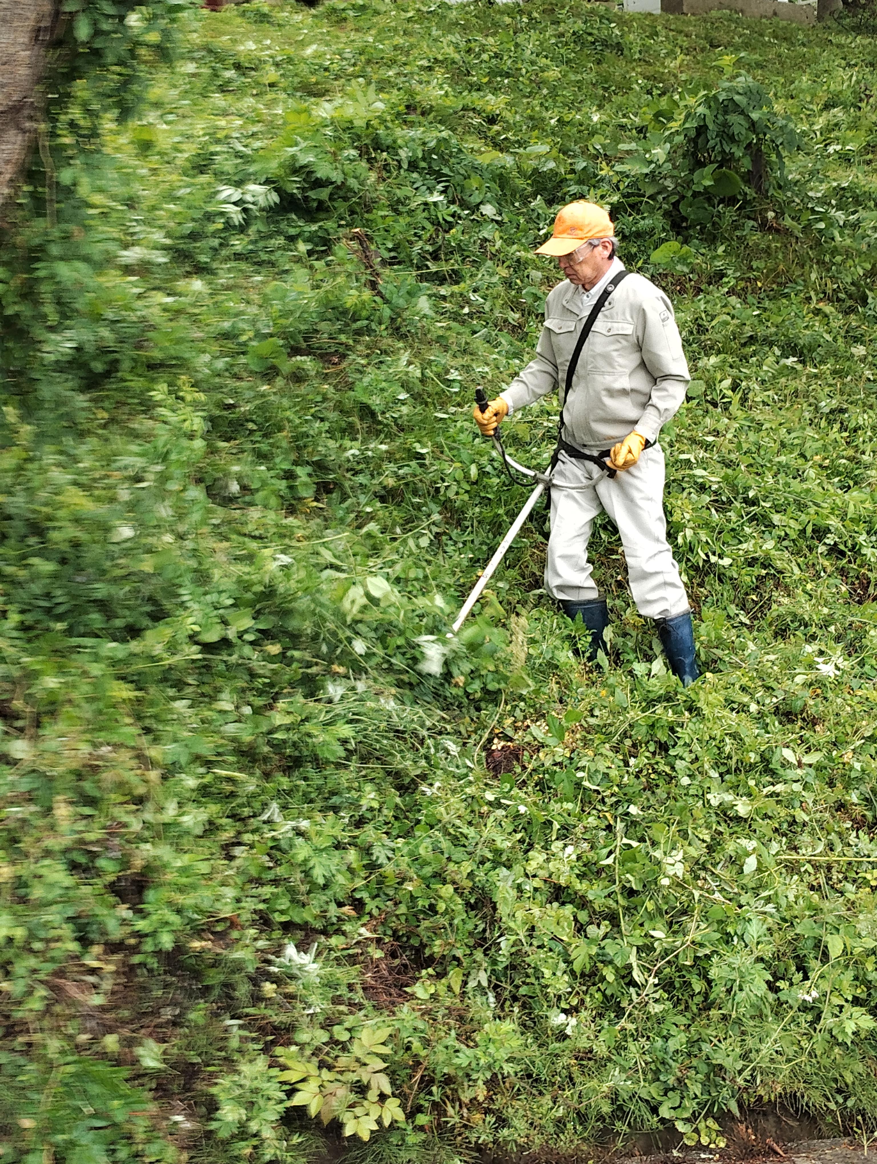 岩部山遊歩道整備