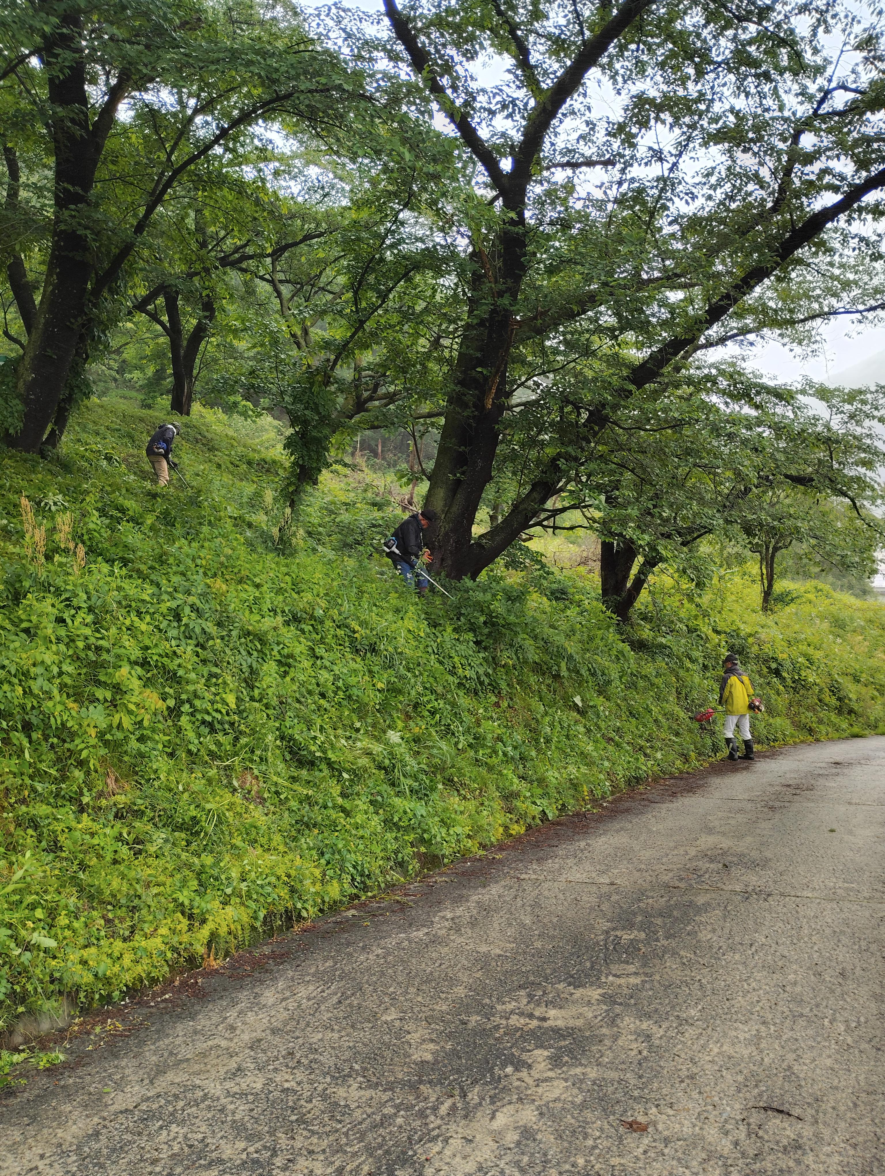 岩部山遊歩道整備