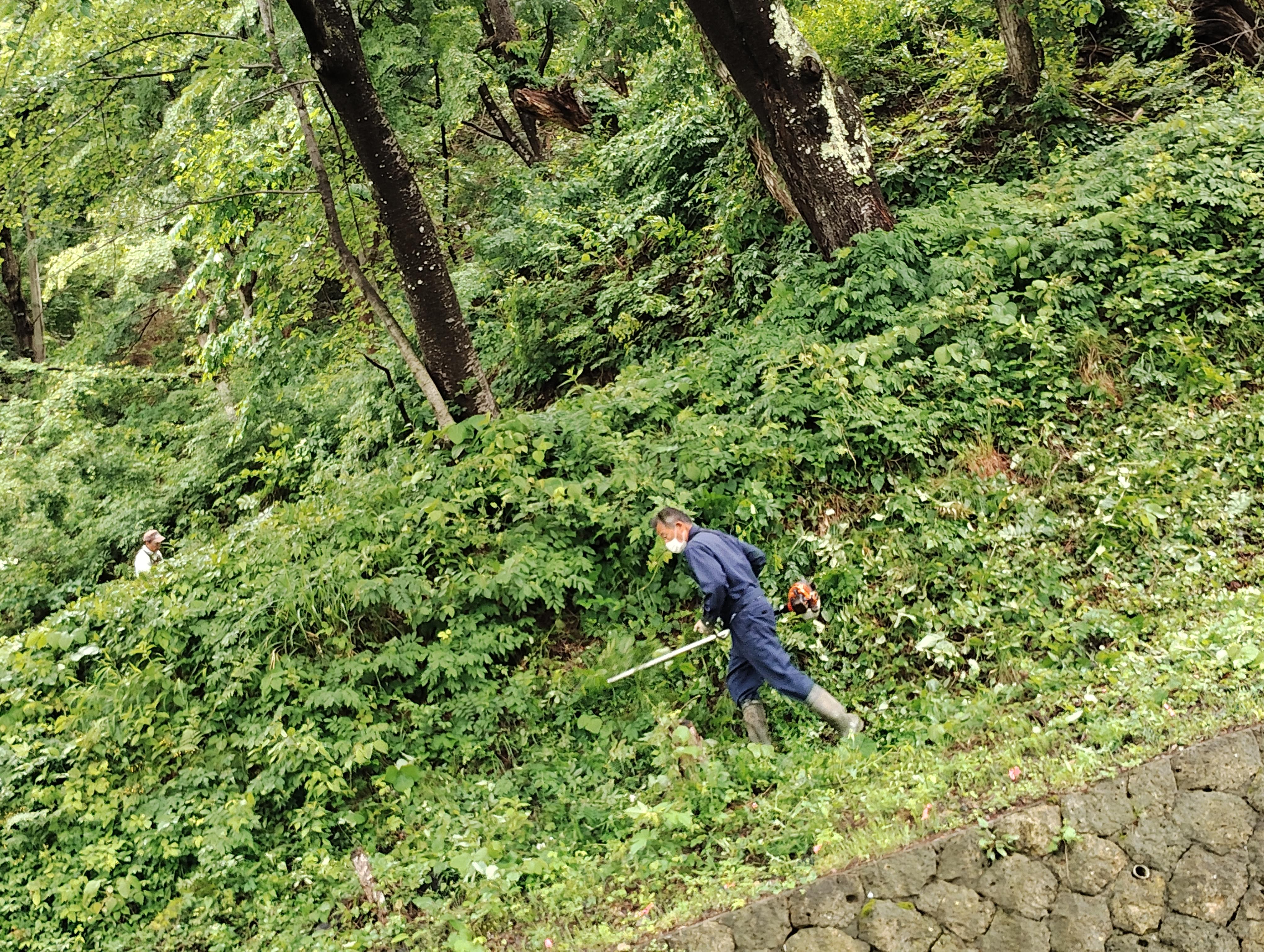 岩部山遊歩道整備