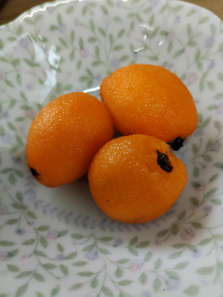 びわ