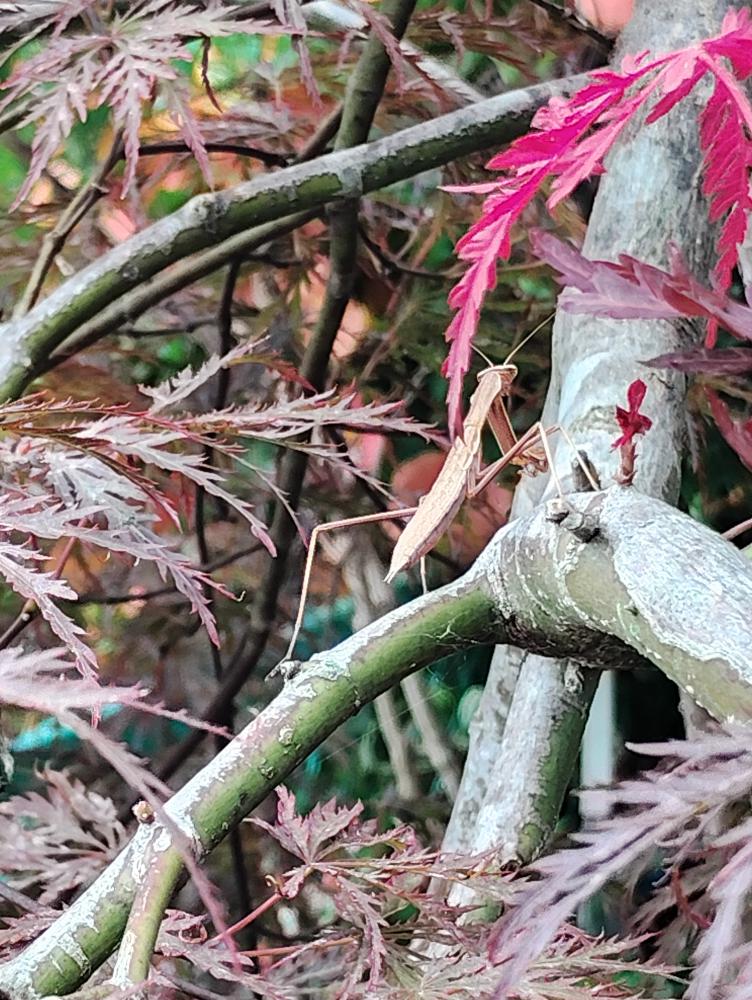 出会い