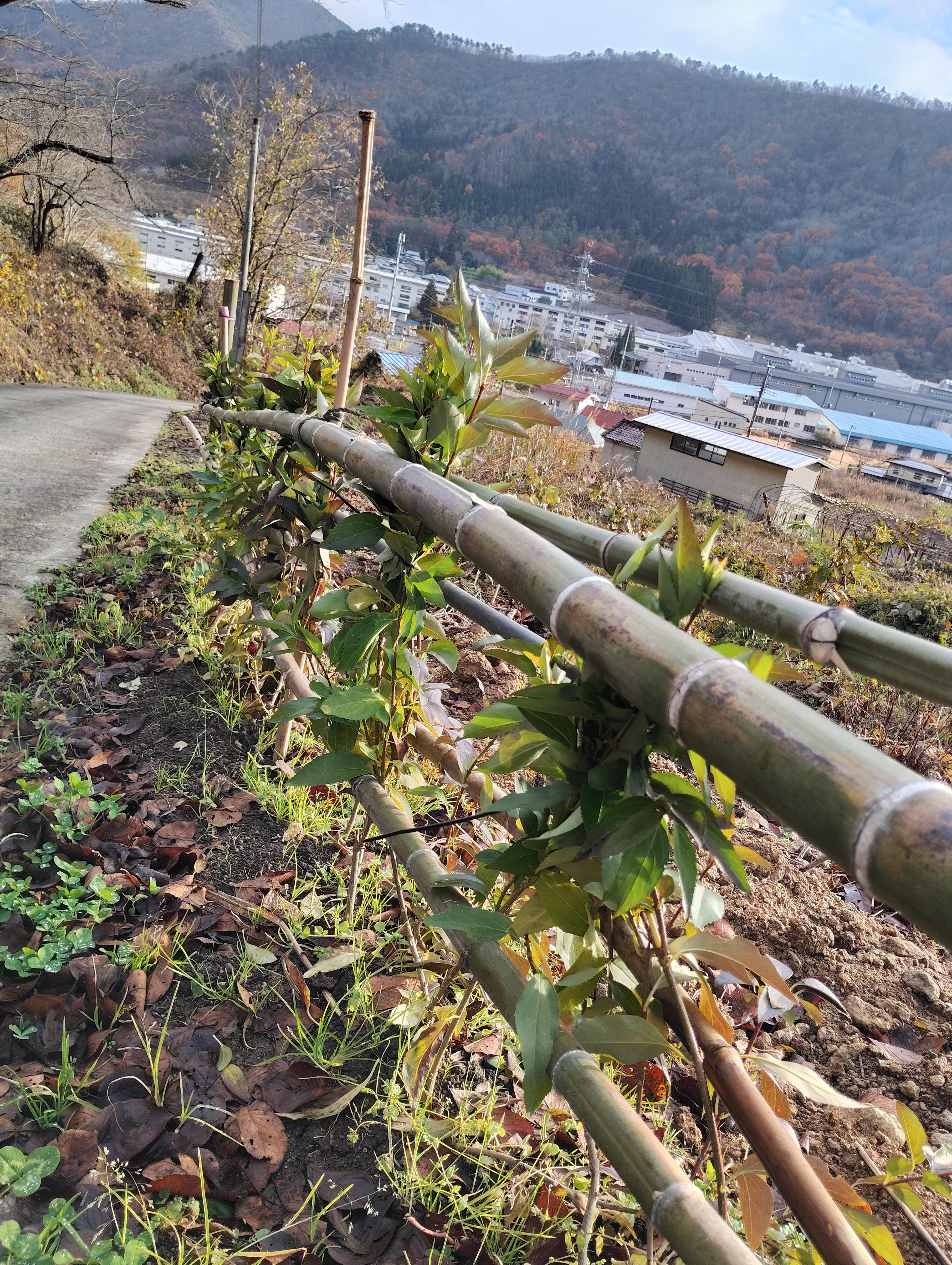 岩部山トイレ閉鎖