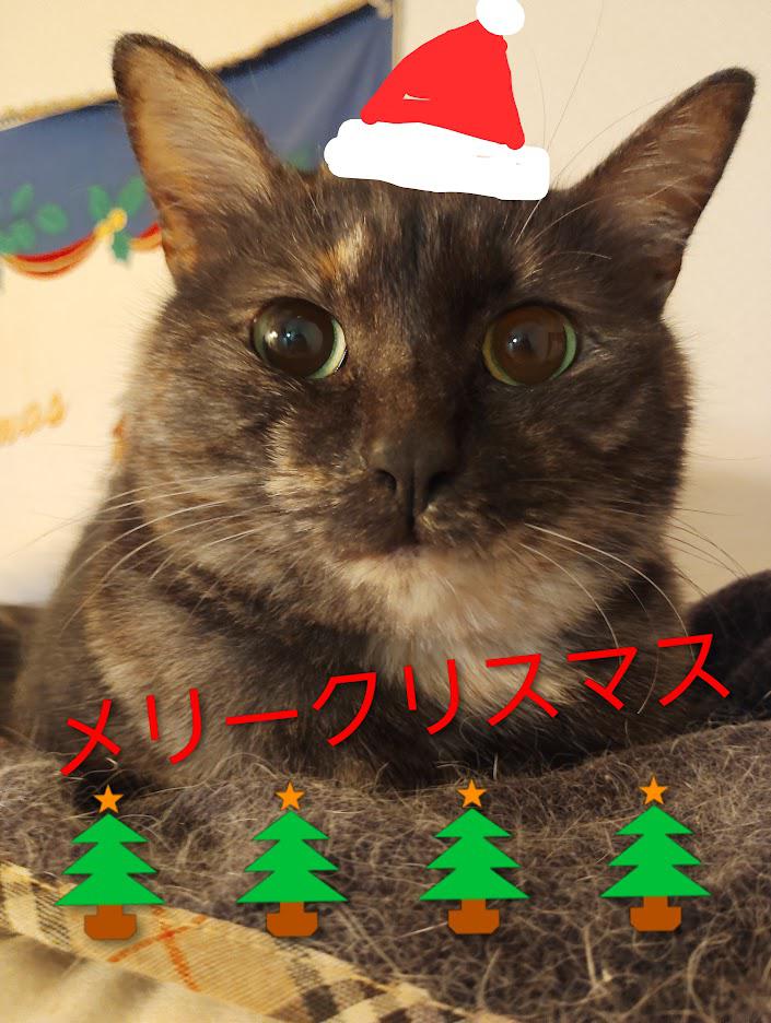 メリークリスマス☆