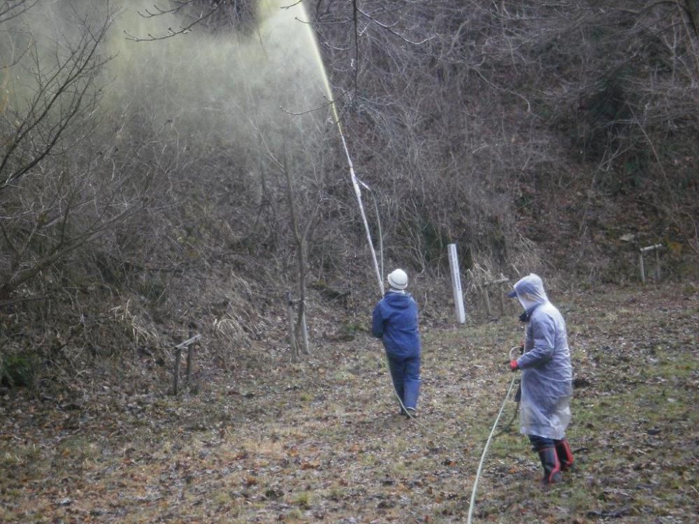 桜の防除作業