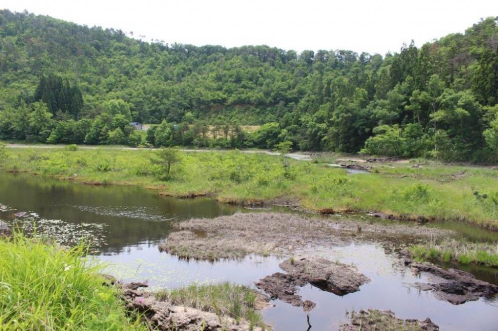 新田堤