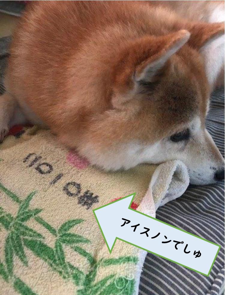 ペットにも・・・
