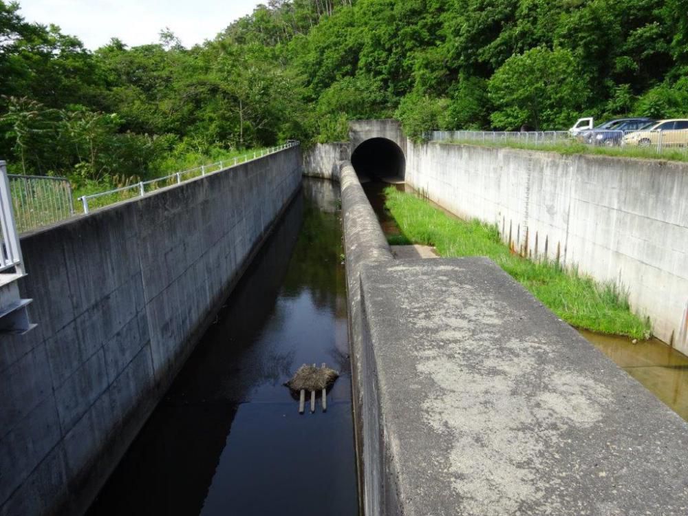 前川ダム分水工